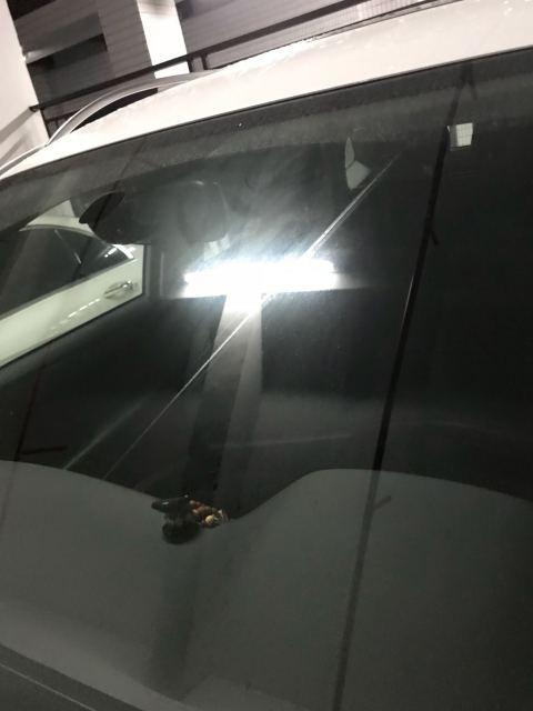 宝马3系-雨刮器刮了会有这条印迹，怎么回事。