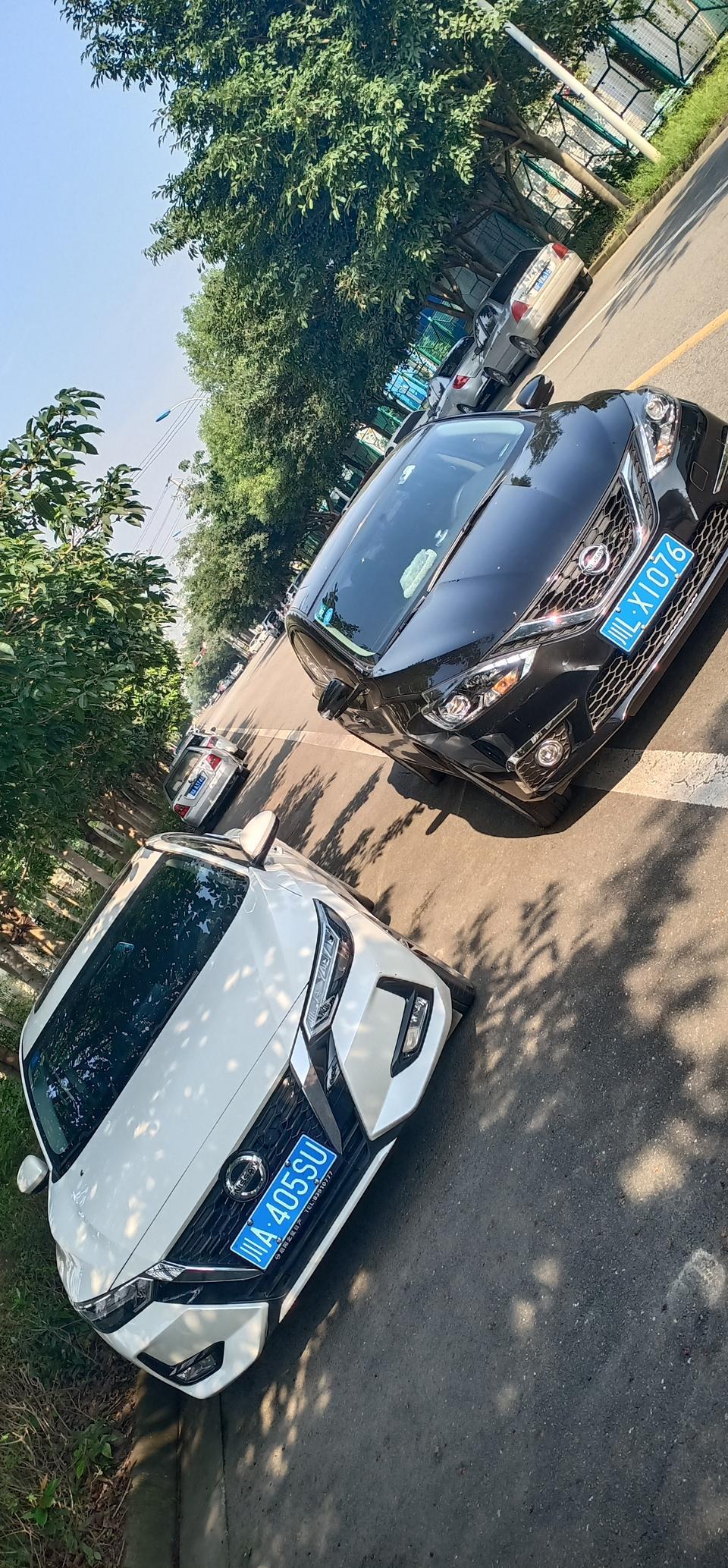 请问一下大家轩逸适合使用什么样的机油，多少公里保养最佳