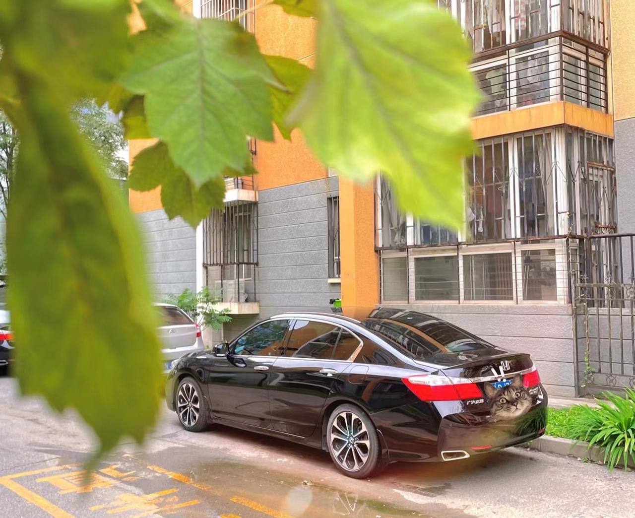 3.0V6雅阁 235/45R18的轮胎，马牌MC5，马牌TC6，优科豪马V522，御乘二代这几个哪个比较好用，辛苦大家