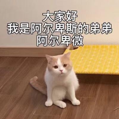 杭州雅阁有车友群嘛？想问问幻夜·尊贵和幻夜·锐志版多少落地合适