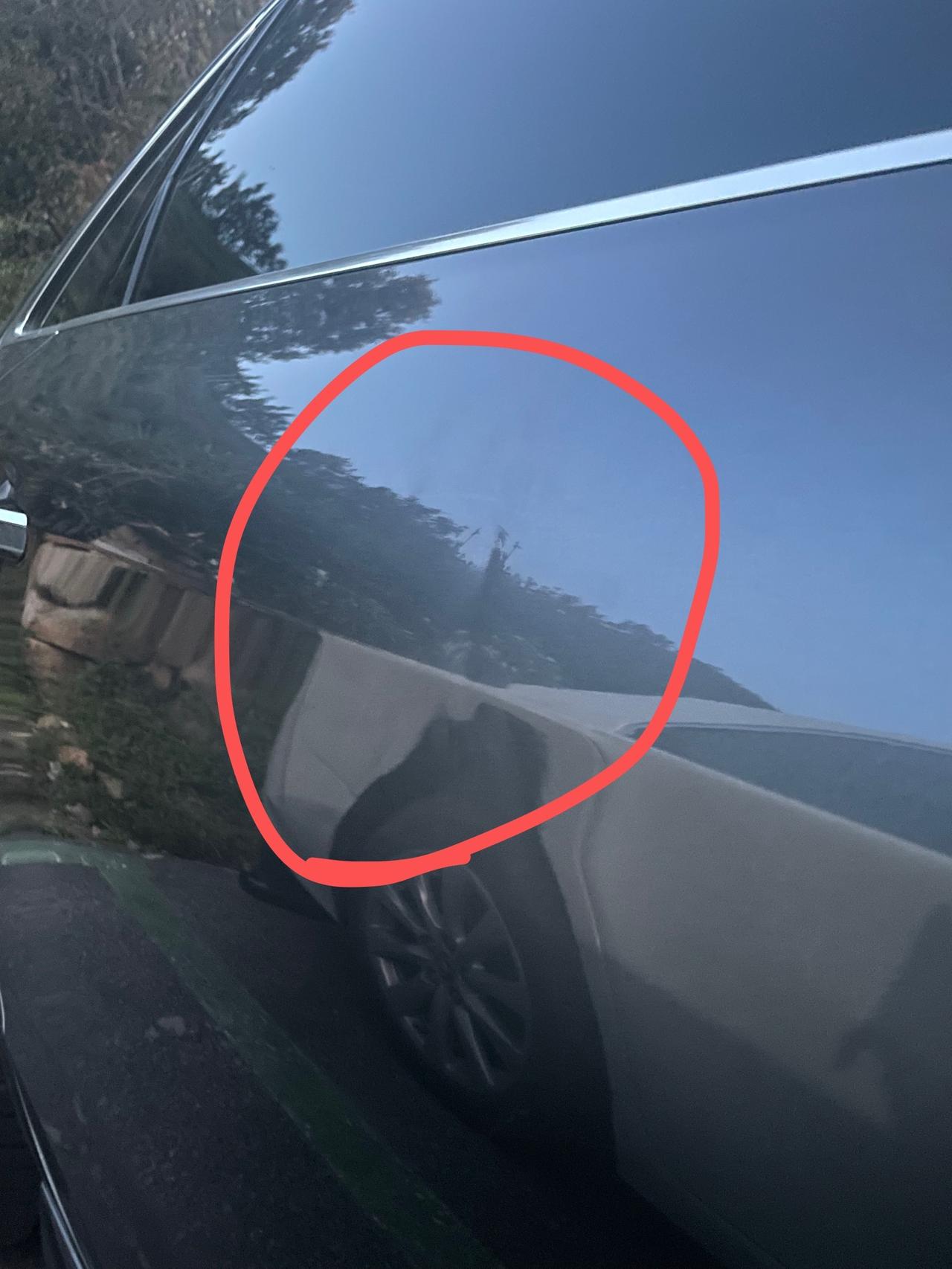 奥迪A4L 车友们，我想问问这个怎么办，也不知道谁开门碰的，心疼死了！