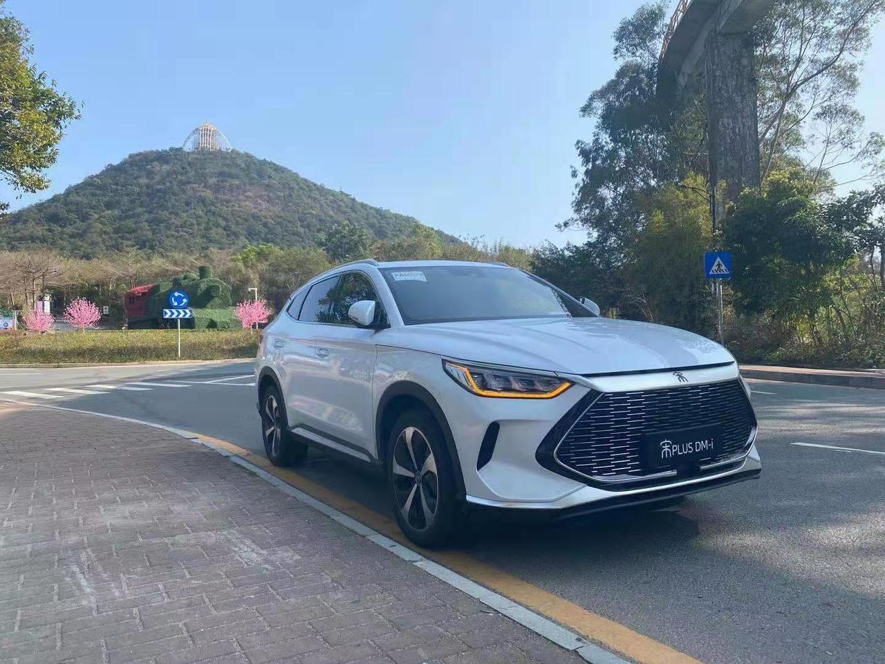 比亚迪宋PLUS DM-i 宋plus DMI全款购车，可以不在4s店上保险吗？坐标沧州市