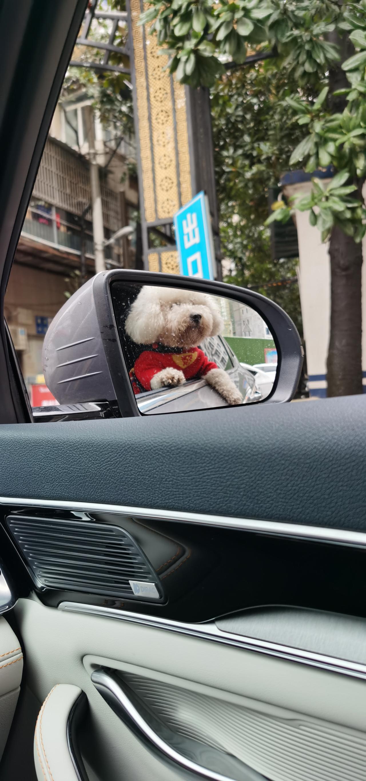比亚迪宋PLUS DM-i 小白问一哈，假如我车在路上坏了，我应该打谁电话，我是打拖车还是给4s店打电话还是打比亚迪的售
