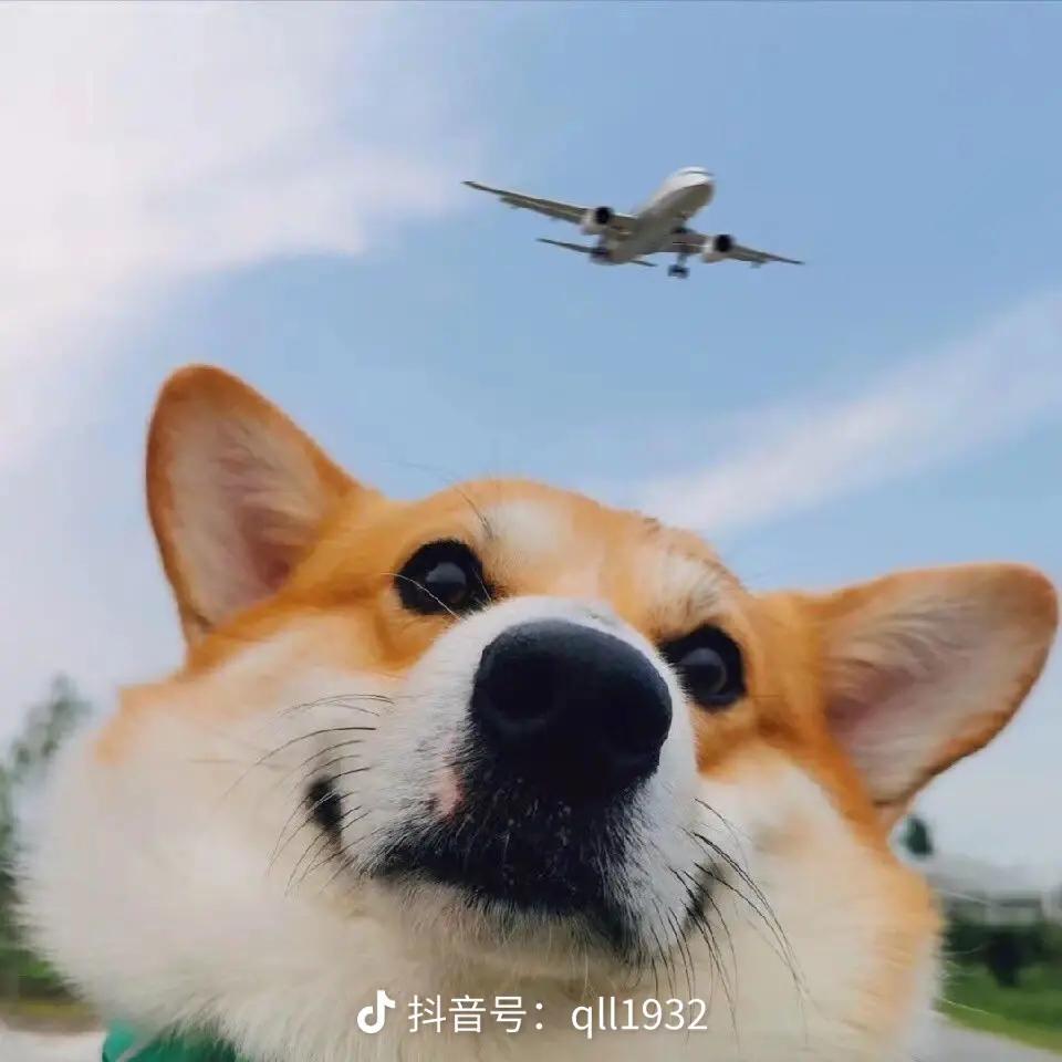 比亚迪驱逐舰 05 超出免息部分分期两年利率一般谈到多少合适