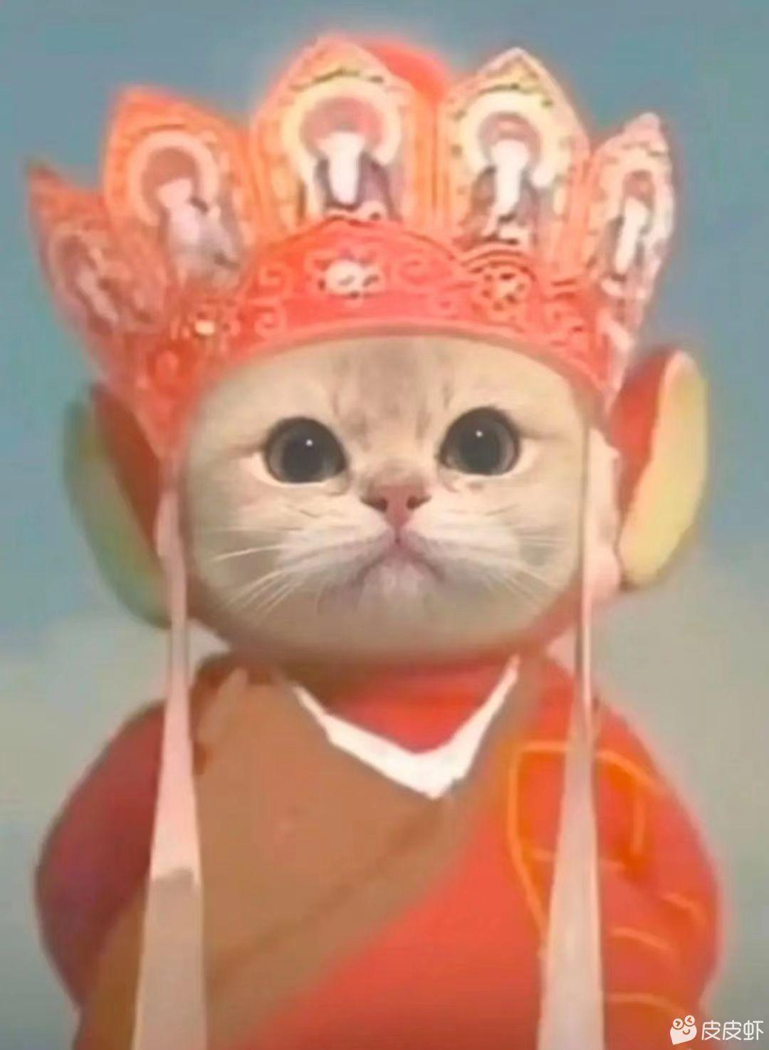 凯迪拉克CT6 呃，好久没看现在变成共振圈了么？我还想多看看信息结果被霸屏了……是真有问题么，我还准备明年下手呢…还有啊