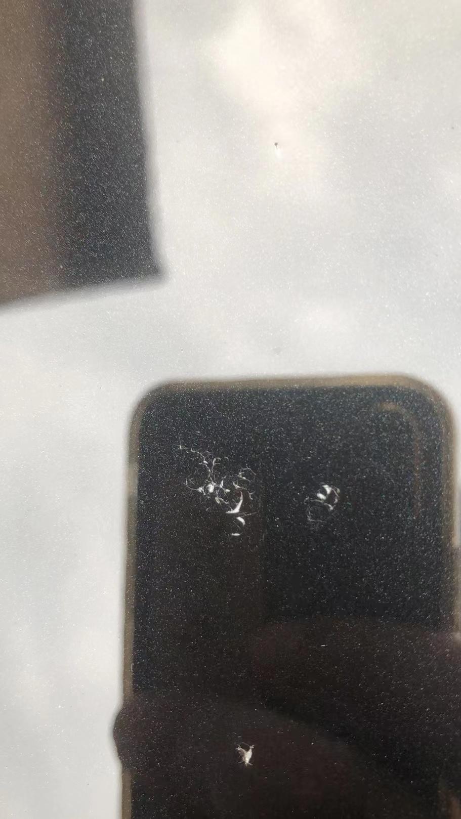 红旗H5经典 前机盖出现小裂痕没有小坑怎么回事呢