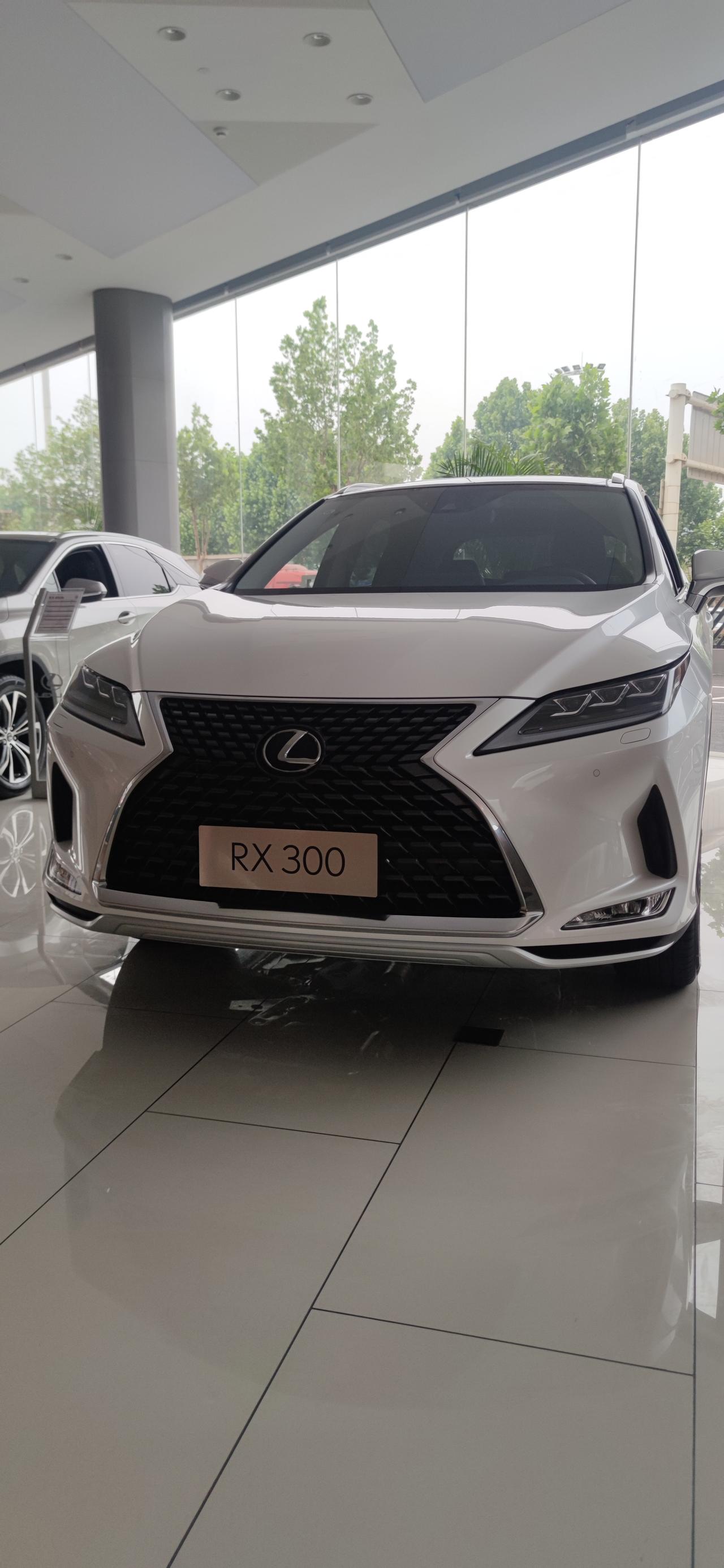 雷克萨斯RX x  r 300 送1吨汽油能下手吗？