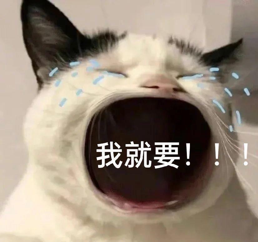 红旗H5经典 新版红旗H5怎么样？我真的好喜欢，买车多久提车？落地多少不算贵？什么时候买比较便宜。第一次买车真不太懂