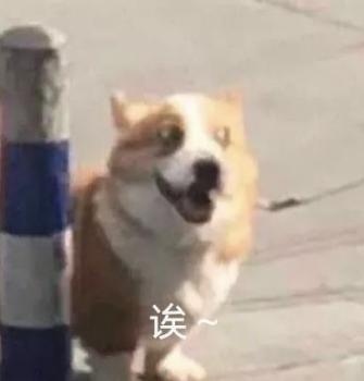 几何几何C 几何c 22款有人提到车了吗？