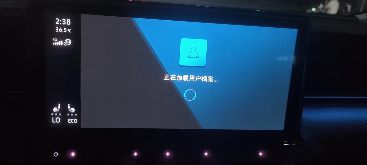 大众ID.6 X 车机屏显这种颜色，怎么调？