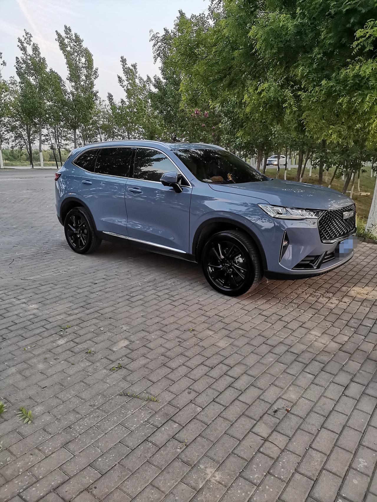 哈弗H6 三代 h62.0max 高阶灰这个颜色，为啥有的车门两侧没有橙色饰条啊