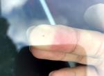 奥迪S5 更换s5 的挡风玻璃啥价格