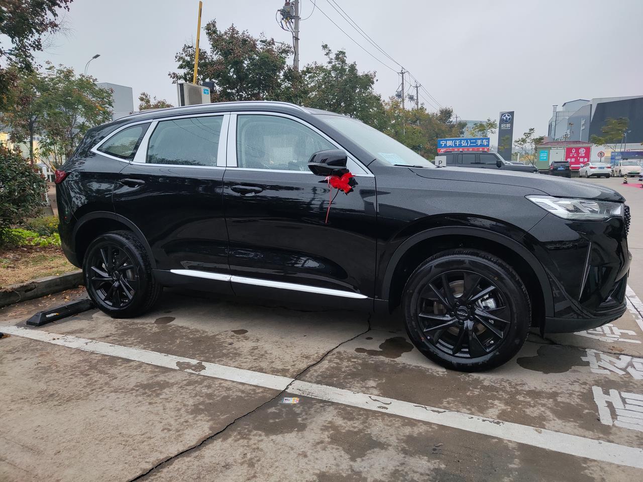 哈弗H6 刚提的车，第三代两驱2.0max，回去的路上就感觉到在等红灯怠速的时候车子有间歇性的抖动，隔10几秒抖一下，切