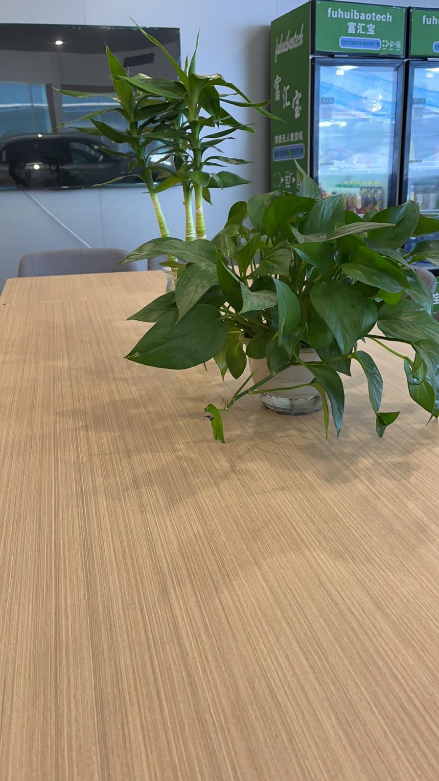 吉利星越L 尊敬的吉利车主们，整车延保有必要买吗？求求了路过回答一下