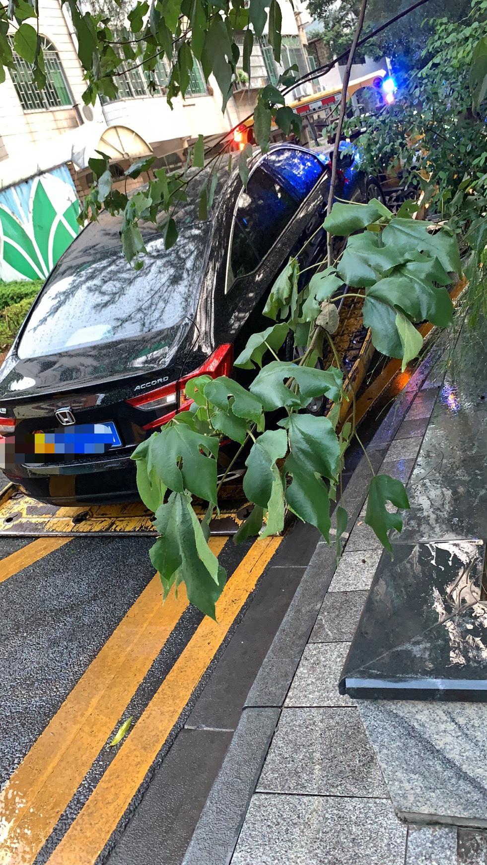 本田雅阁 兄弟们开车一定要看清楚路啊，小弟新车20天不到大事故，下雨天没看清楚前面有个沙井盖竖着放，把底盘挂了，机箱漏油
