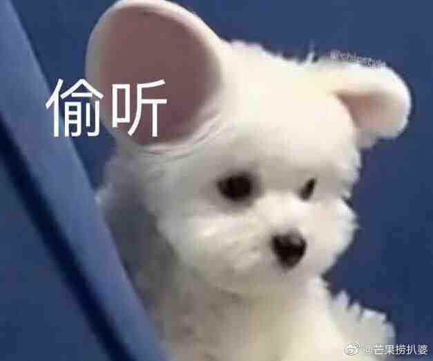 特斯拉Model Y 女生，新手，车感还可以，不敢上路23款奥迪A6L和特斯拉毛豆Y怎么选？如果是你，你会选哪一个？不考