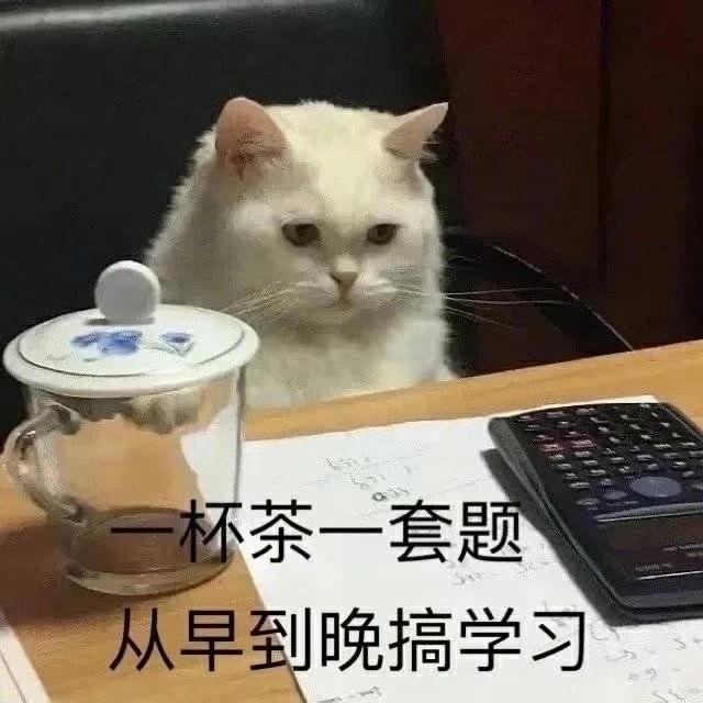 比亚迪宋PLUS DM-i 各位大哥，小弟有个疑问：这车只加油，不充电行不行啊