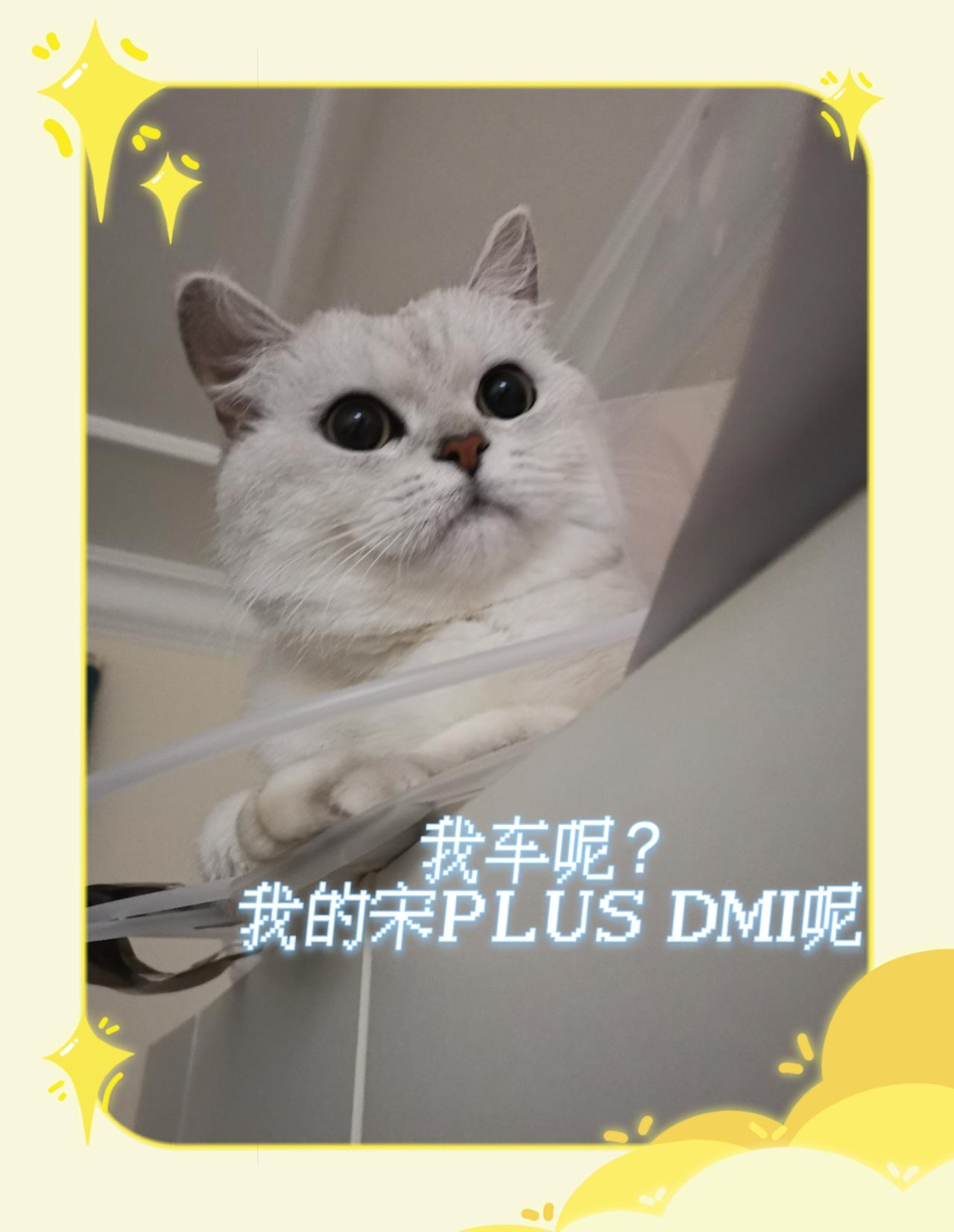 比亚迪宋PLUS DM-i 坐标武汉，想订宋PlusDMI，目前听说武汉的盛世王朝只交了三辆车，经销商鄂迪交车超过一手，