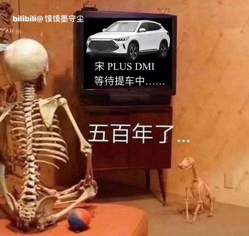 比亚迪宋PLUS DM-i 110高配和低配选哪个，有些纠结，望各位提车的指点一下