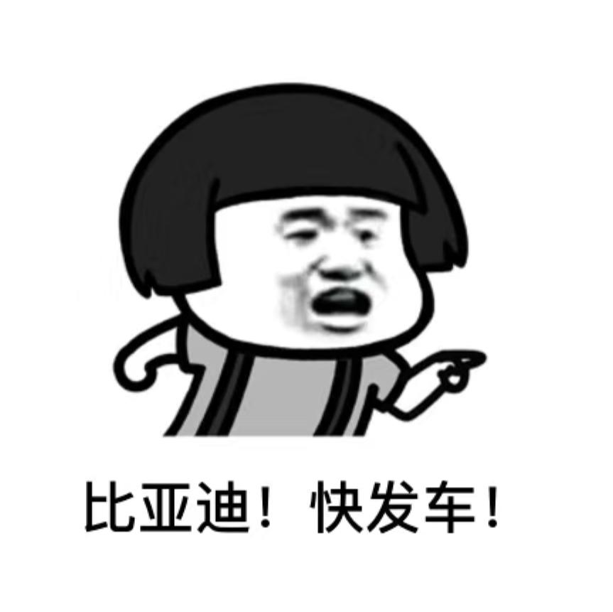 比亚迪宋PLUS DM-i 你们被强制换成110低配版了没？等三个多月的我妥协了
