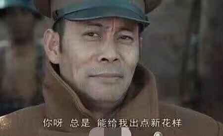 比亚迪宋PLUS DM-i 这车在北京上牌，挂绿牌还是蓝牌?