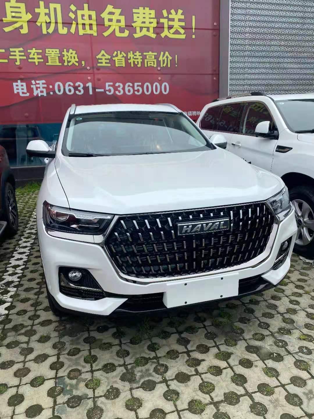 各位车友，哈弗H6国潮版1.5GDIT自动冠军版有两种中网可选吗？销售说有两种中网，其余配置都是一样的，想问一下大家原厂