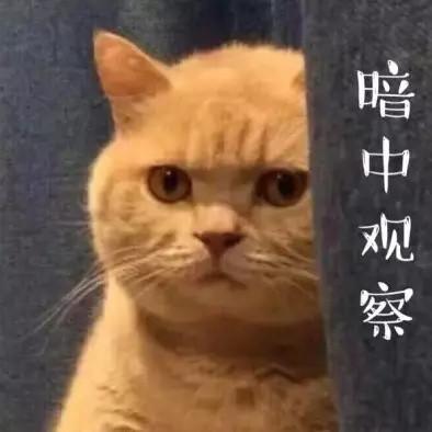 特斯拉Model Y 最近在纠结特斯拉，问一下各位老板。1.车机死机的多吗，会影响行车安全吗。2.无门框玻璃关门会打坏吗