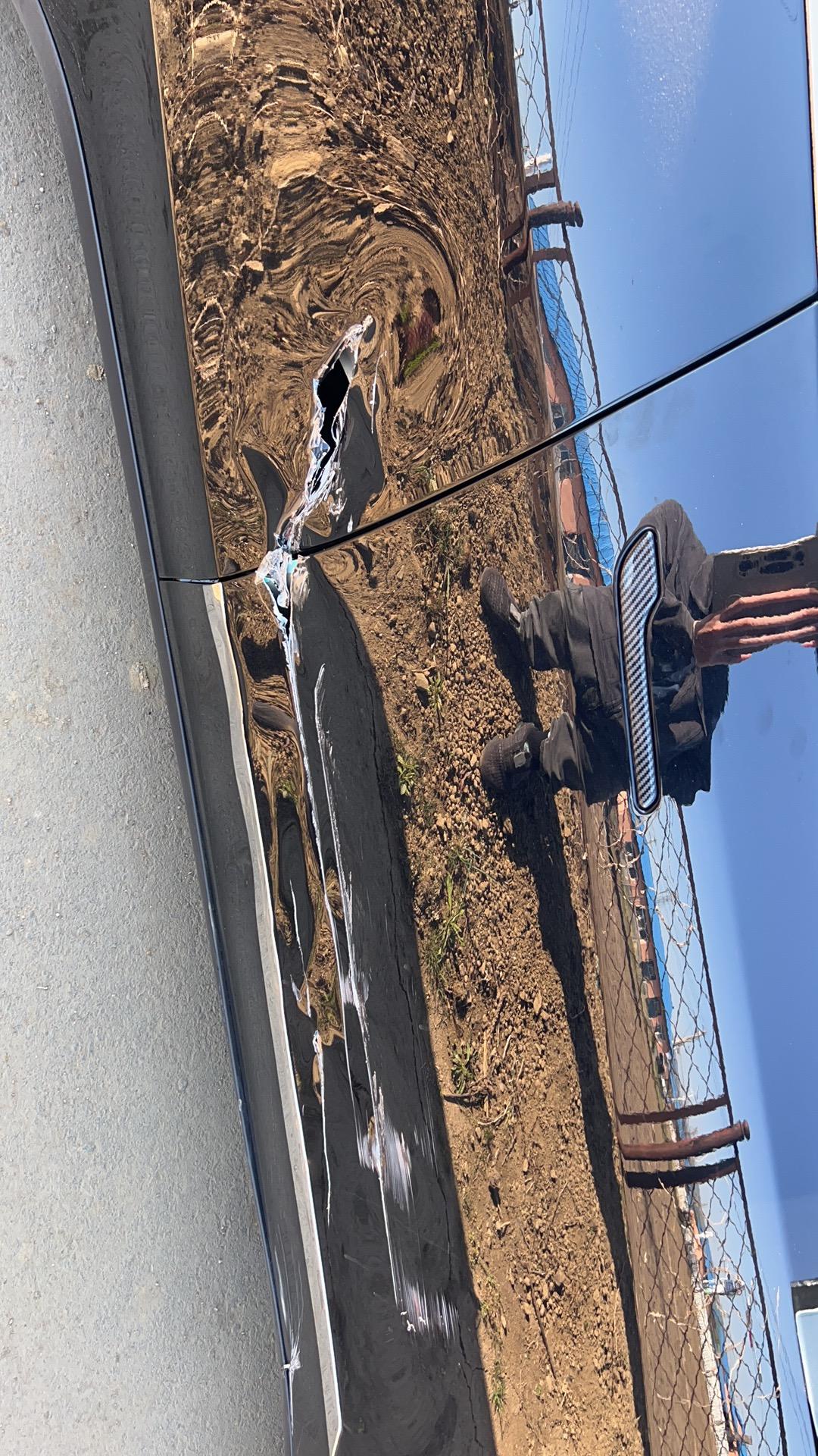 特斯拉Model Y 我去年12月提的y长划了，问了需要换两个门和下面保护板，请问卖能卖多少 其他啥问题没有 让农作物刮