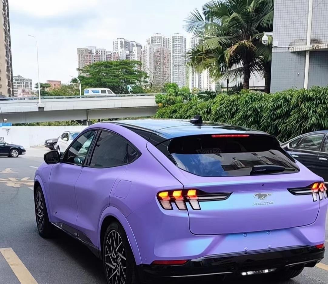 特斯拉Model Y 一见钟情的车该不该买？不是我说，香芋紫的这辆车出现在我眼前，它就是在勾引我！！万物皆可紫的我只能两