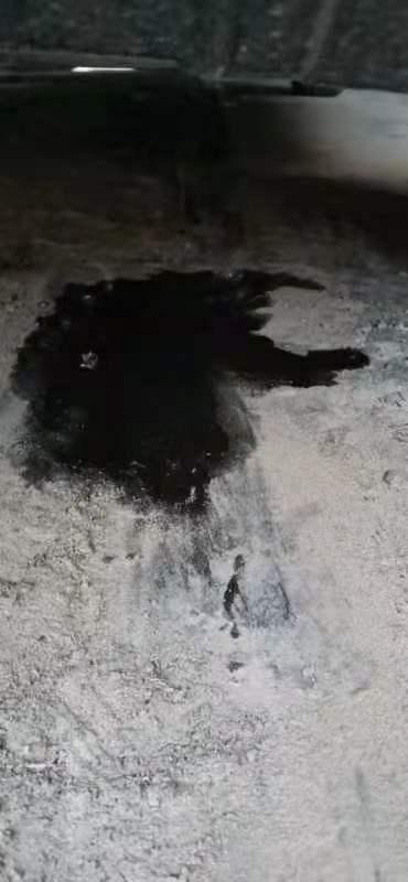 日产逍客 这是啥啊 车前面那块 求大佬看到告知