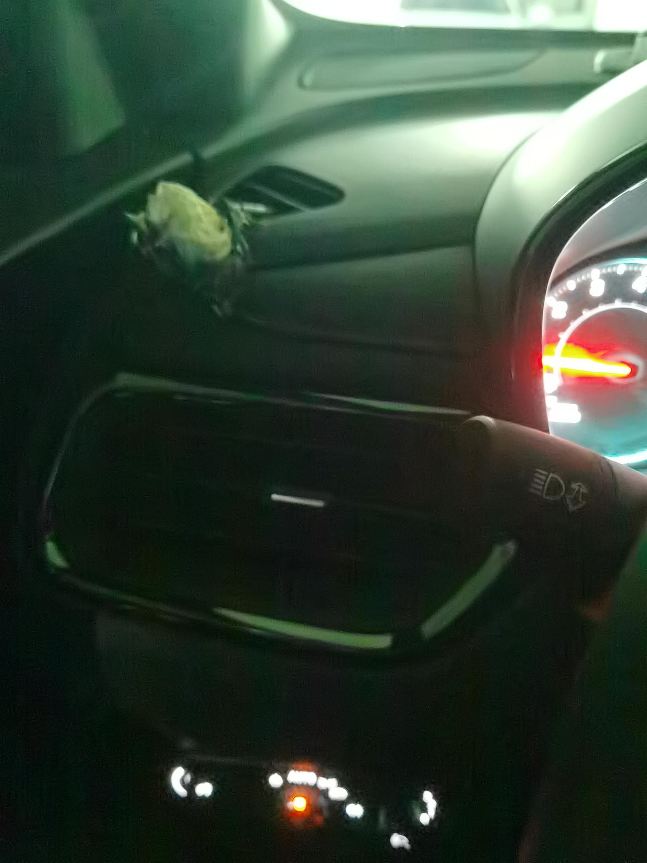 雪佛兰探界者 哦，没有打开空调，但今天开车的时候发现这里面一直出热气。只有这一个空调出有没有大神来指点下啊？