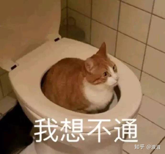 坐标天津，曾经开过两多月我兄弟的奇峻，爱死那个看起来就给人特别有安全感且稳重的大屁股。奈何三年摇不上号，准备一万块钱竞拍