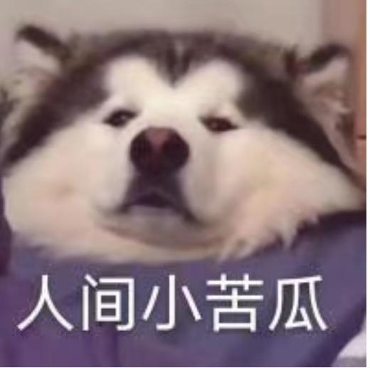 红旗H5经典 奥迪A4L和新款红旗H5选哪个？第一辆车现状：第一辆车，一个人，年入12w左右，无房无车。一人吃好，全家不