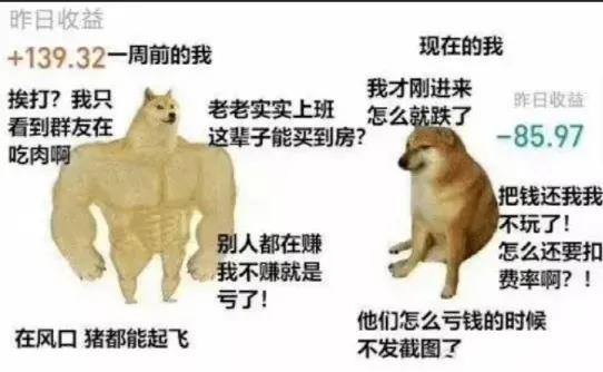长安CS75 PLUS 我的韩泰轮胎为什么没有速度级别标志？