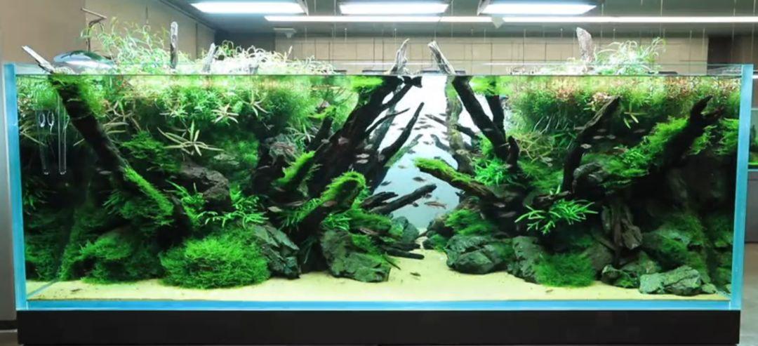 上汽大通MAXUS G50 请问下各位老司机，9万左右的新车，第一年在4S上保险，三者100万、200万、300万，一般