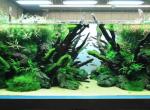 上汽大通MAXUS G50 请问下各位老司机，9万左右的新车，第一年在4S上保险，三者100万、200万、300万，一般