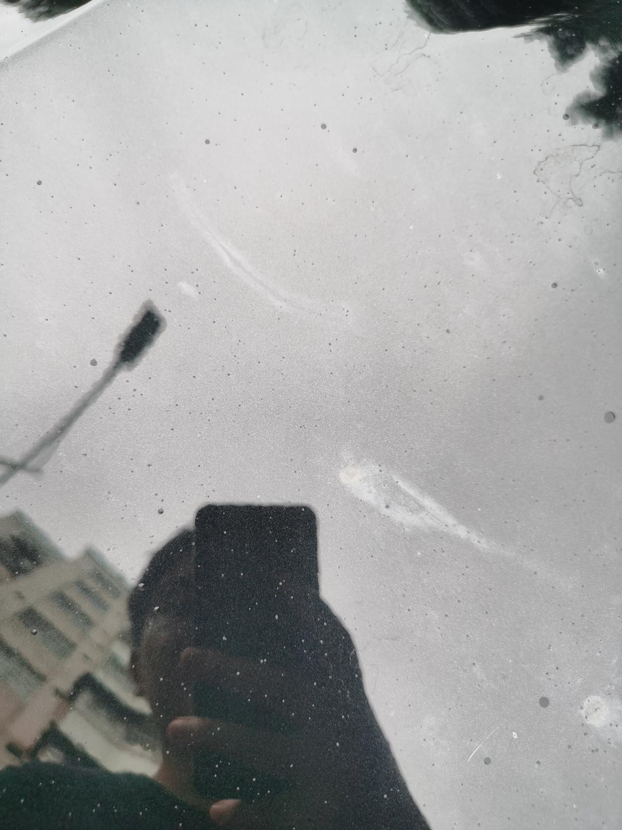 黑色凯美瑞停在树下。全是黑点，还渗色，洗不掉