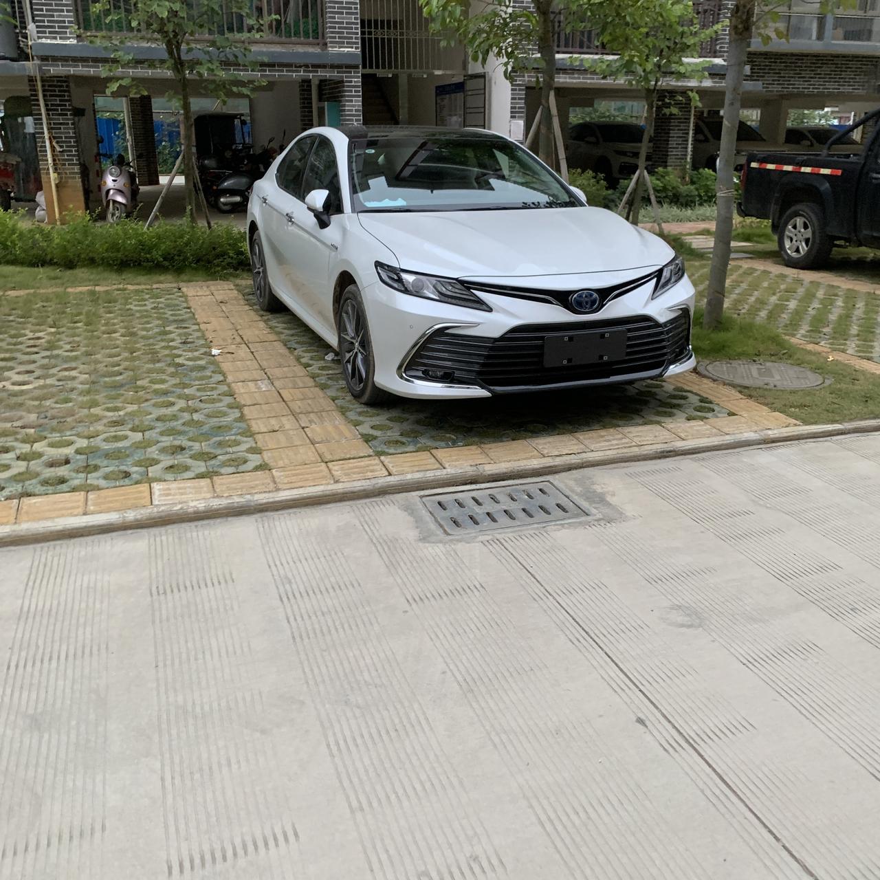 丰田凯美瑞 兄弟们，石油好还是石化好