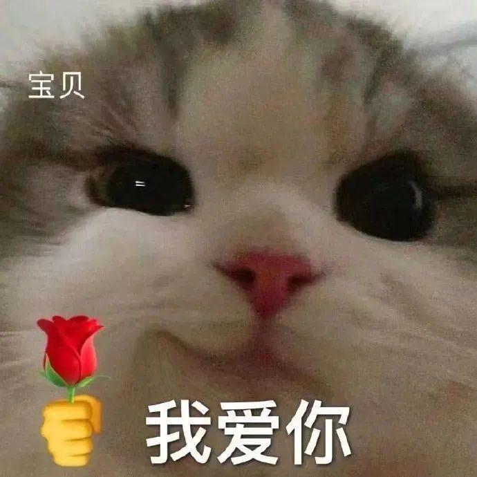 一个月5000块钱，能买丰田凯美瑞新款的吗、，分期的话