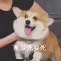 最近逛速腾车友圈发现你们都好贵 前天去4s店销售报价15.9还没砍价今天去杀价等我好消息