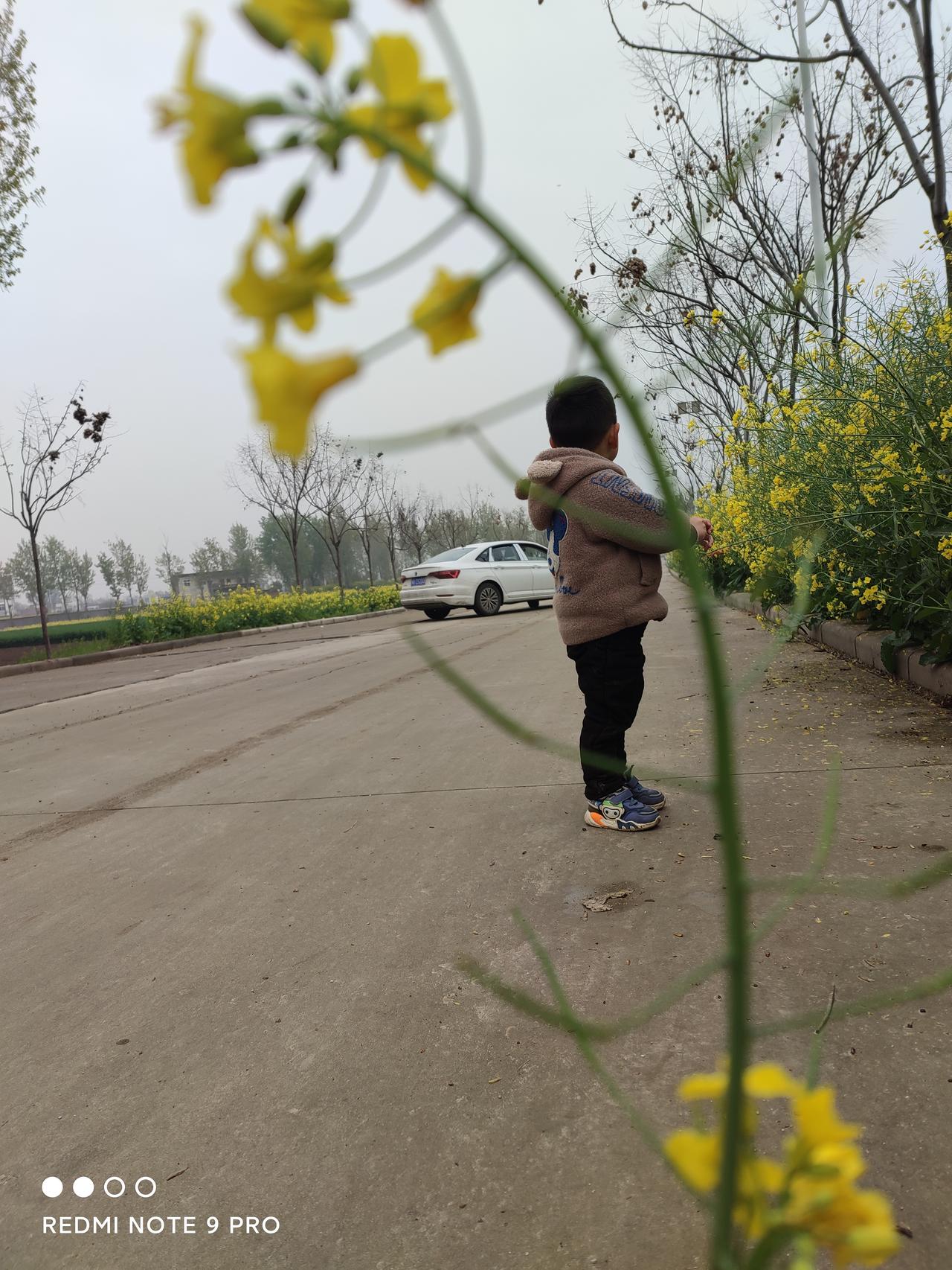 大众速腾 三月三十一号买的车，280舒适，一直以为是快15落地，今天突然翻了下账单，仔细算算价格落地14.2，不知道怎么