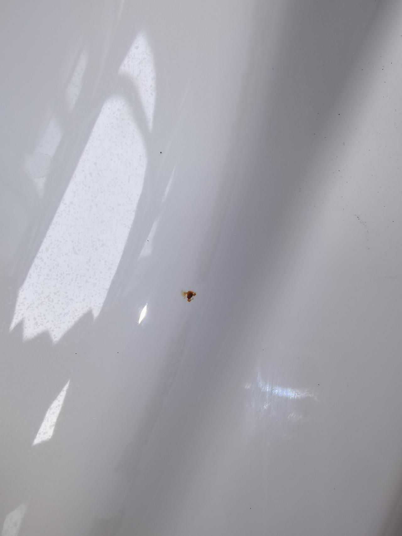大众速腾 今天突然发现后车门框下边沿有一处锈点，这种情况需要处理一下不，不处理的话时间长了会不会越锈越大