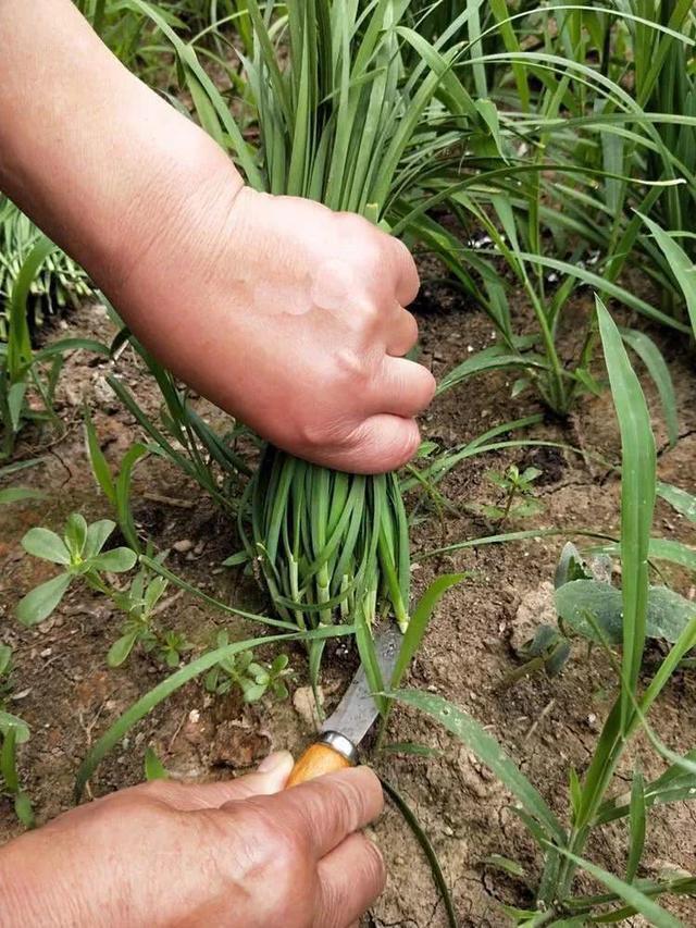 速腾又涨价了？八月底给我谈的是15.6全款搞下地，刚刚给我打电话说要16万了。看来不涨到20万我看不起它