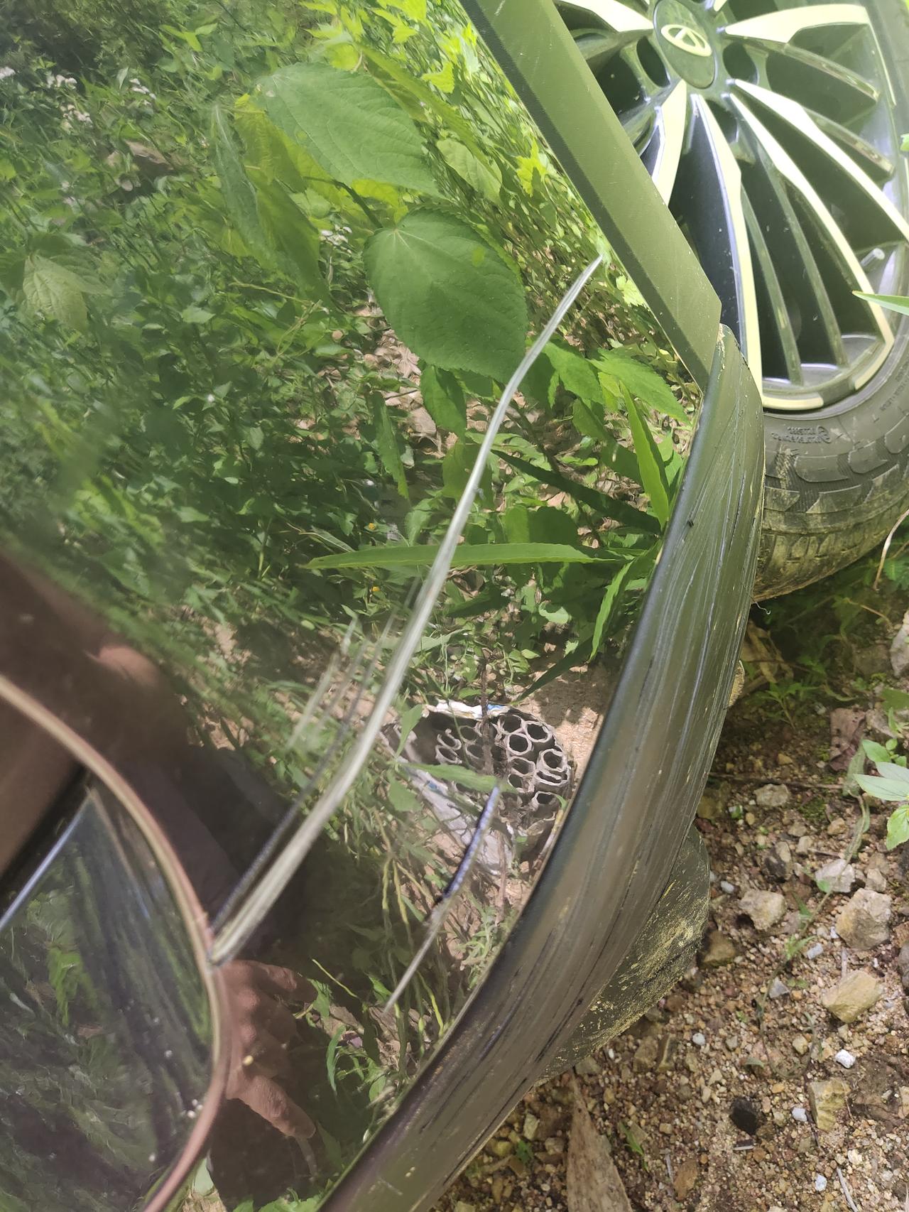 奇瑞瑞虎8 PLUS 这样的是换，还是补，走保吗