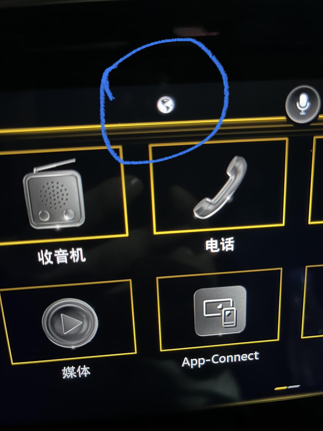 大众蔚揽 这个图标是什么意思？哪位解答一下，谢谢！