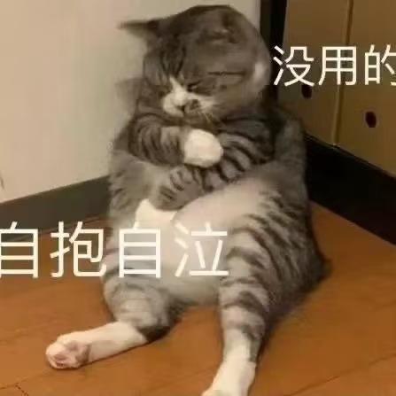 奥迪A4(进口) 大家有没有遇到排气管黑的现象？19款20年三万+公里，两万公里就比较明显了，一直加两桶油，没加过燃油宝