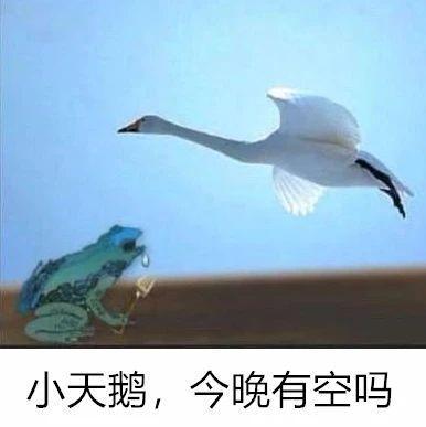 领克03 有南京地区的03车友群吗，拉一下啊
