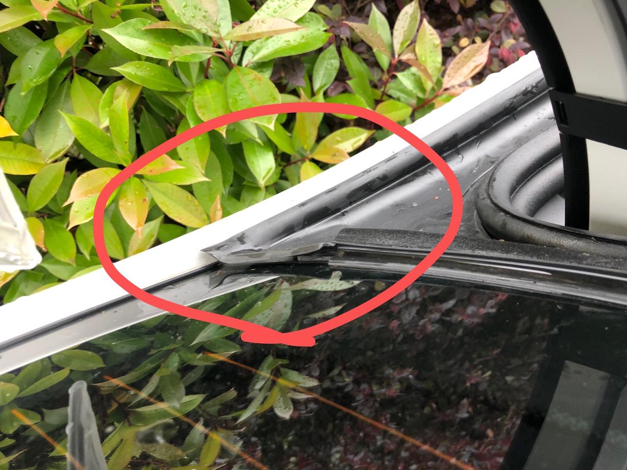 宝马5系 请问各位车友，你们后排水口密封条也这么翘吗？左边还比较平整，右边非常翘