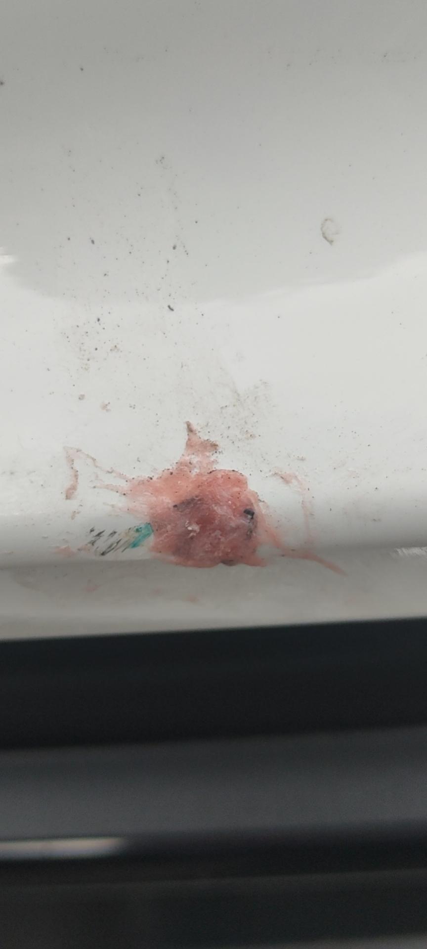 星瑞白色车。前后保险杠剐蹭，漏出黑色，怎么处理。第一张和第二张一个位置，第三张后面，都是塑料材质
