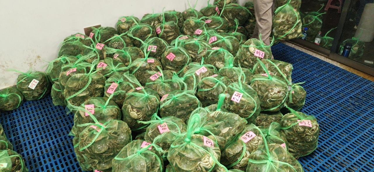 吉利星瑞 一次买俩，可以优惠多点吗？不会谈啊想给家里姐妹俩一人买一个旗舰。大佬教教怎么谈价格。